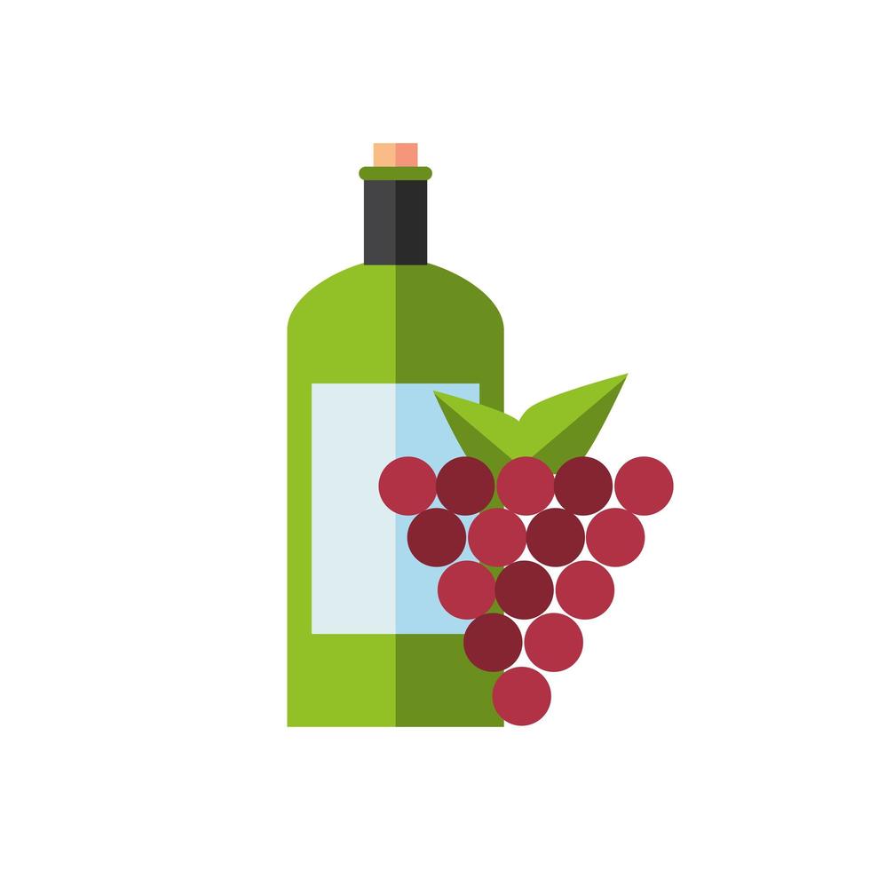 bebida de botella de vino con uvas frutas vector