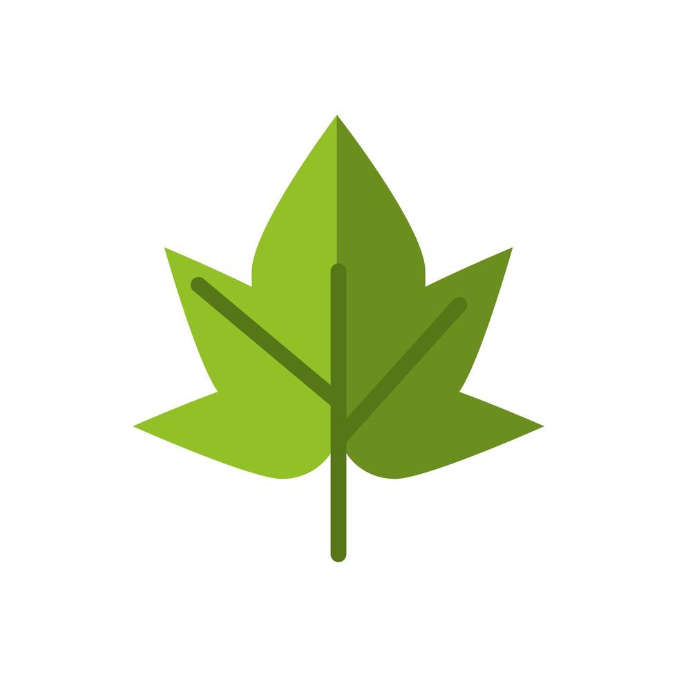 icono de naturaleza de hoja de planta de uva vector