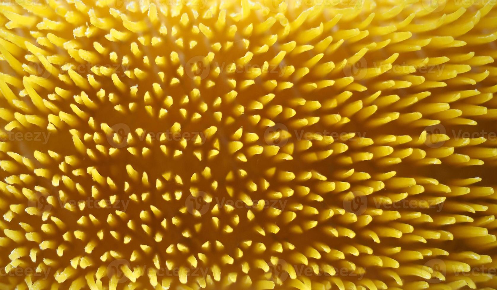 abstract yellow texture background photo