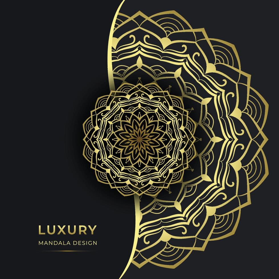 Decorative Luxury Ornamental Mandala Background Design vector
