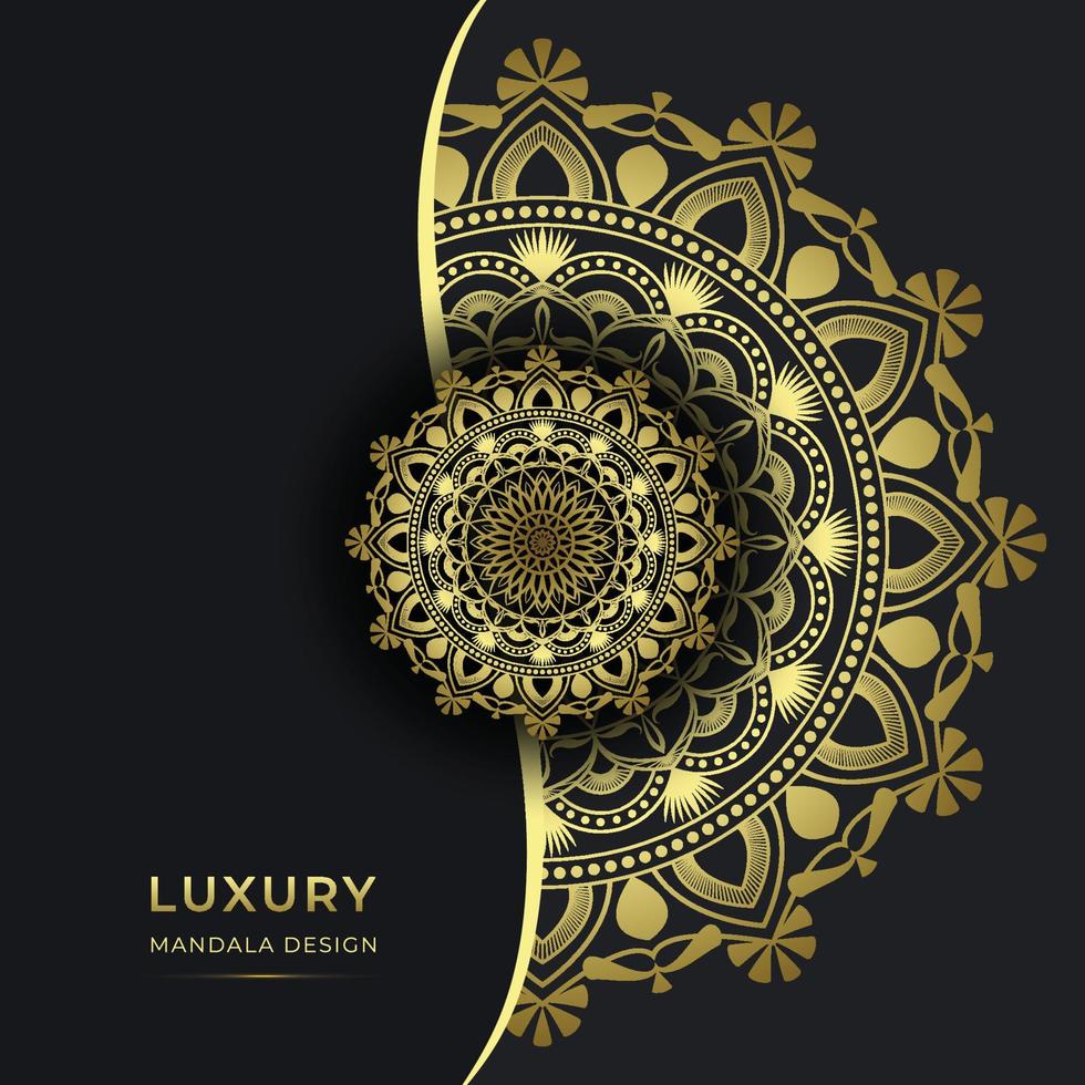 Decorative Luxury Ornamental Mandala Background Design vector