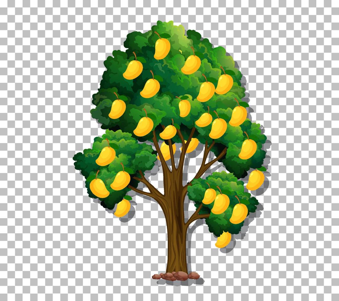 Mango tree on grid background vector