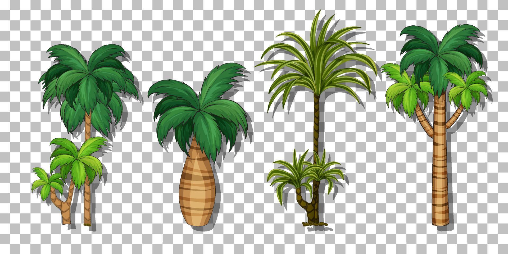 Palm tree on grid background vector
