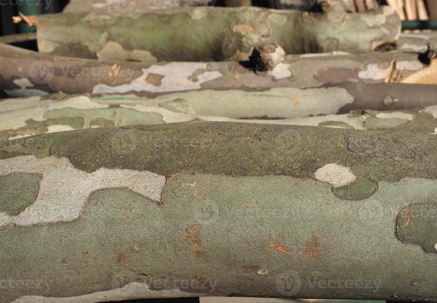Patrón de camuflaje sobre fondo de corteza de árbol plano foto