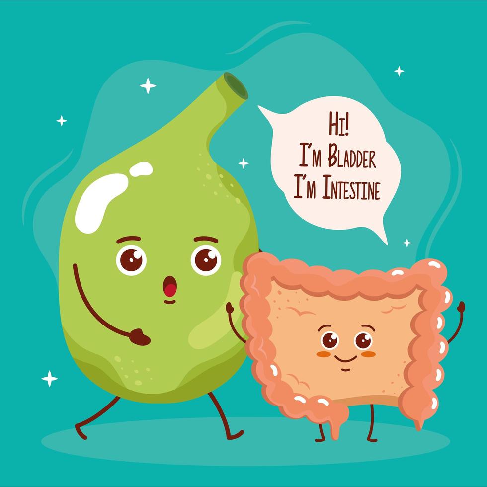 two cute organs vector