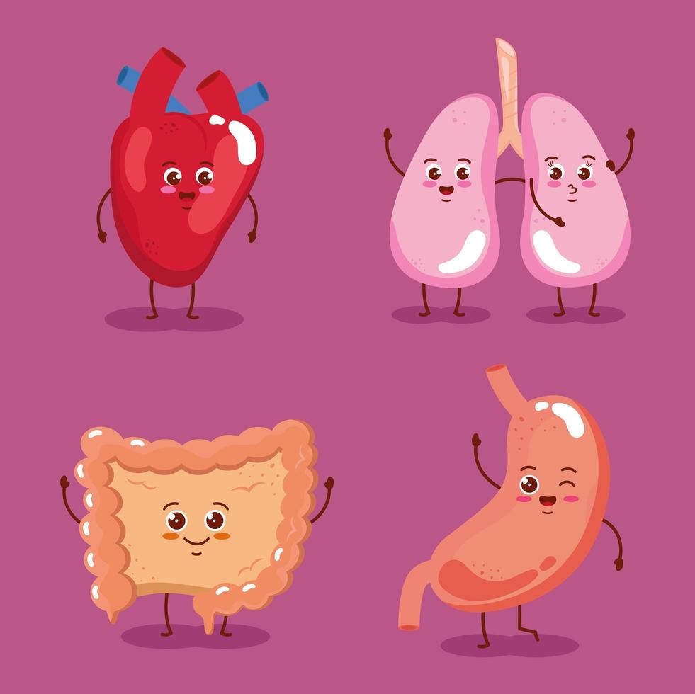 four cute organs vector