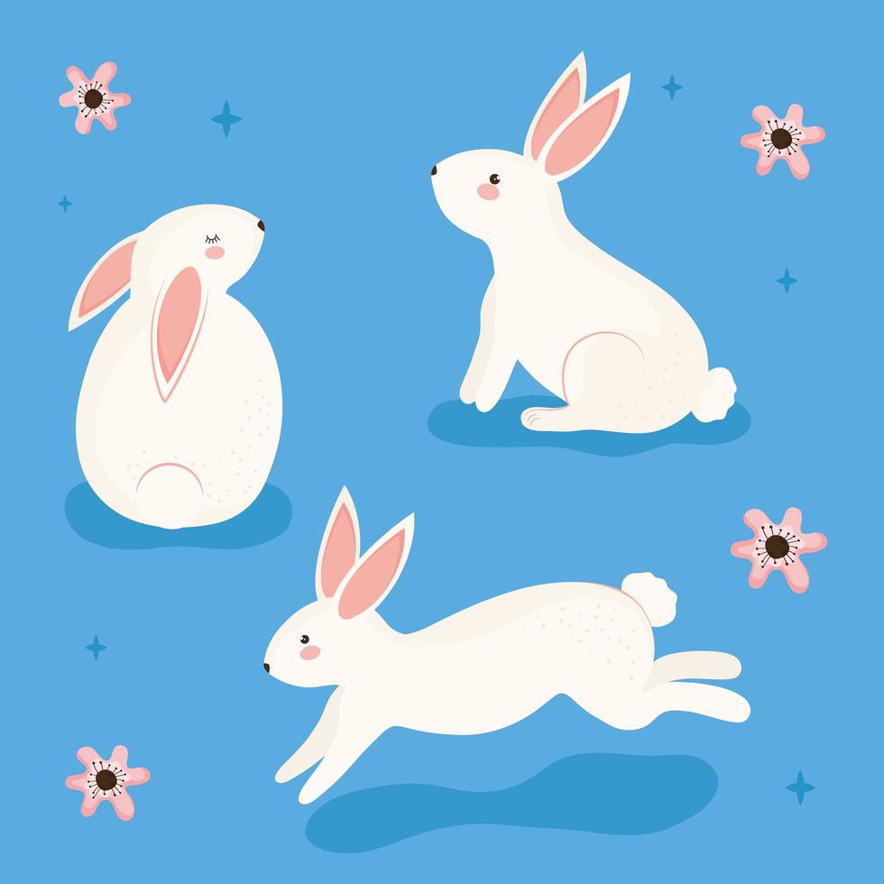 beauty three rabbits vector