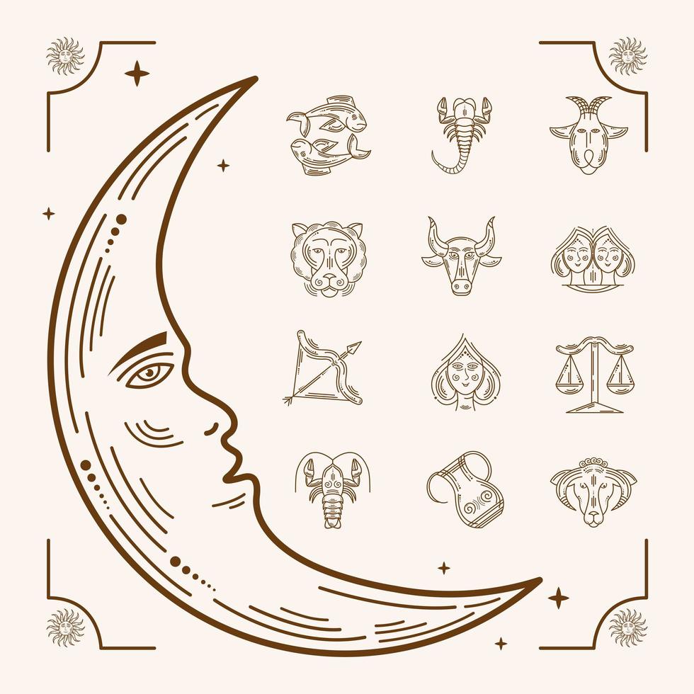 moon and zodiac vector