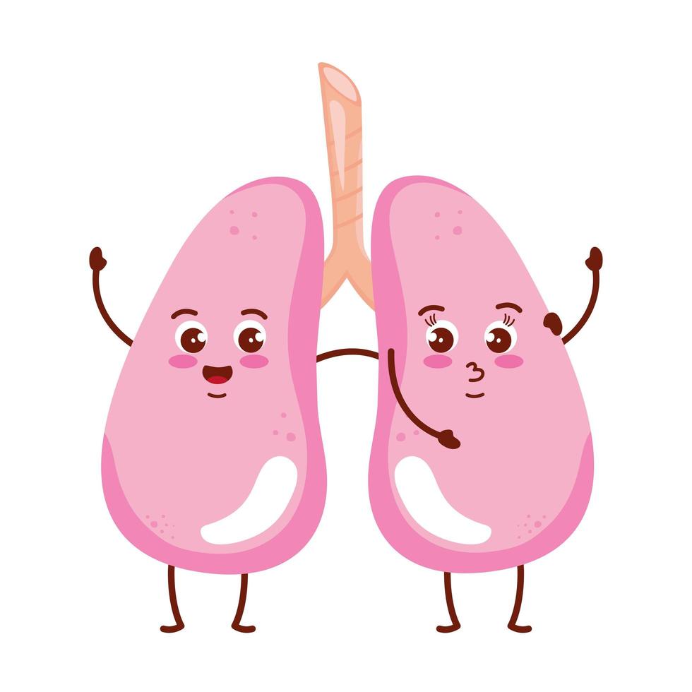 cute organs lungs vector