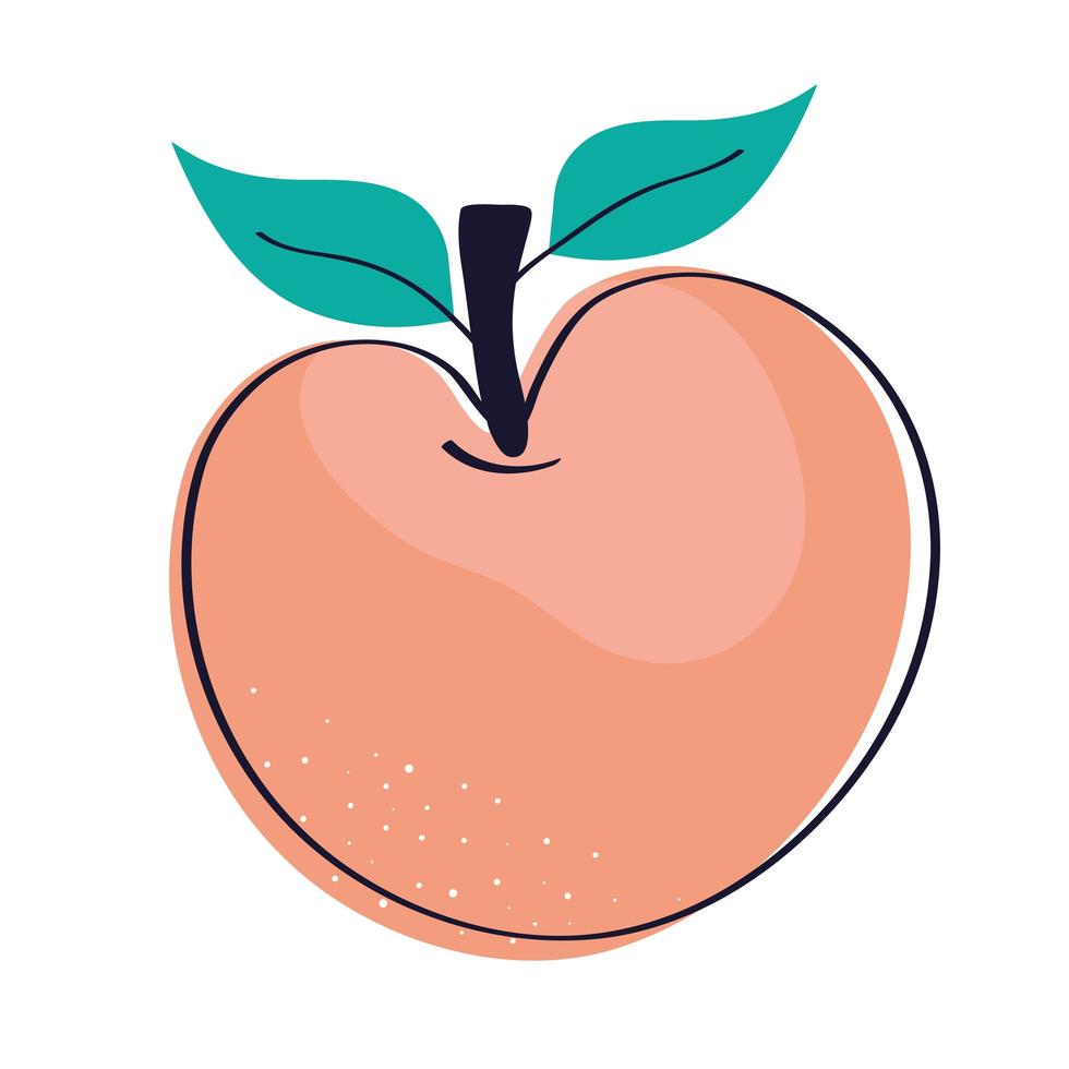 peach tropical fruit vector