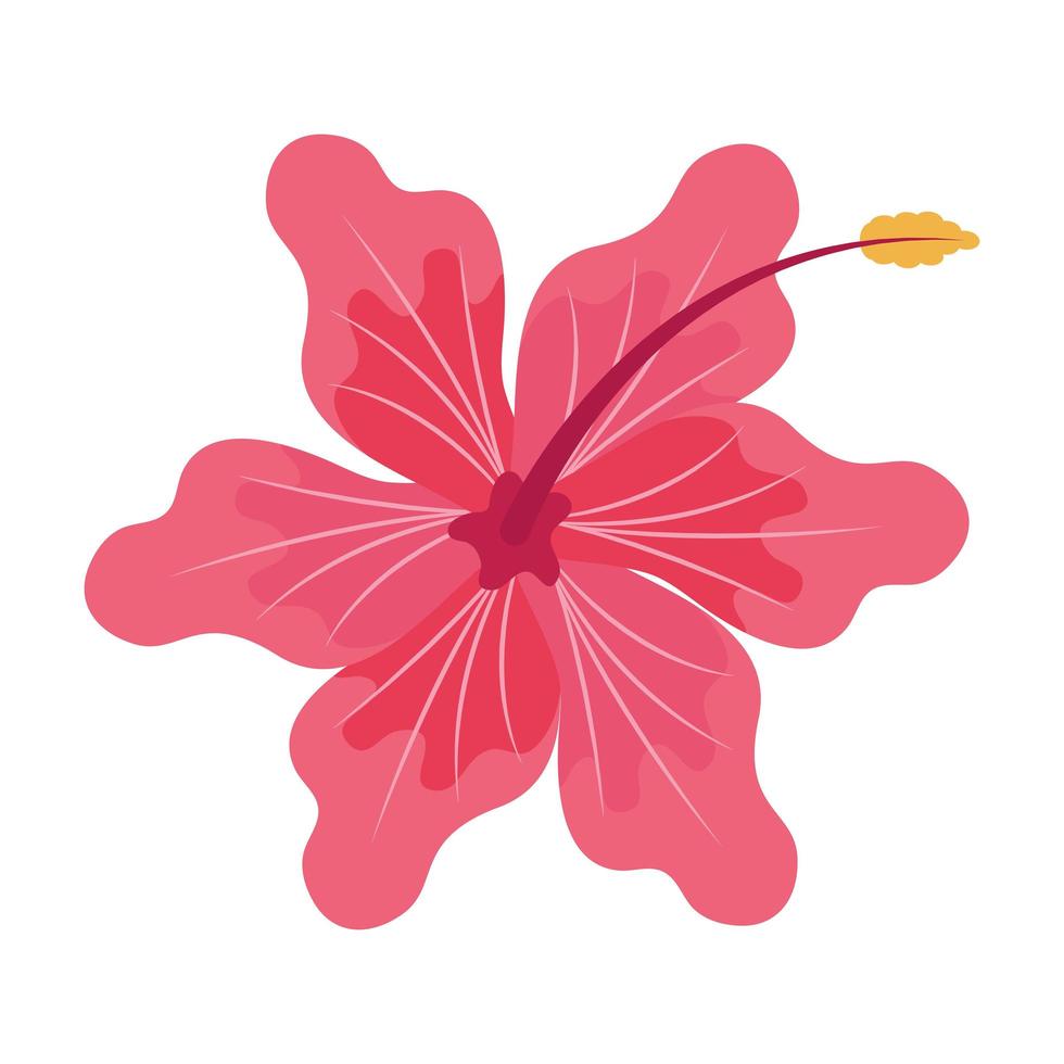 flower fucsia color vector