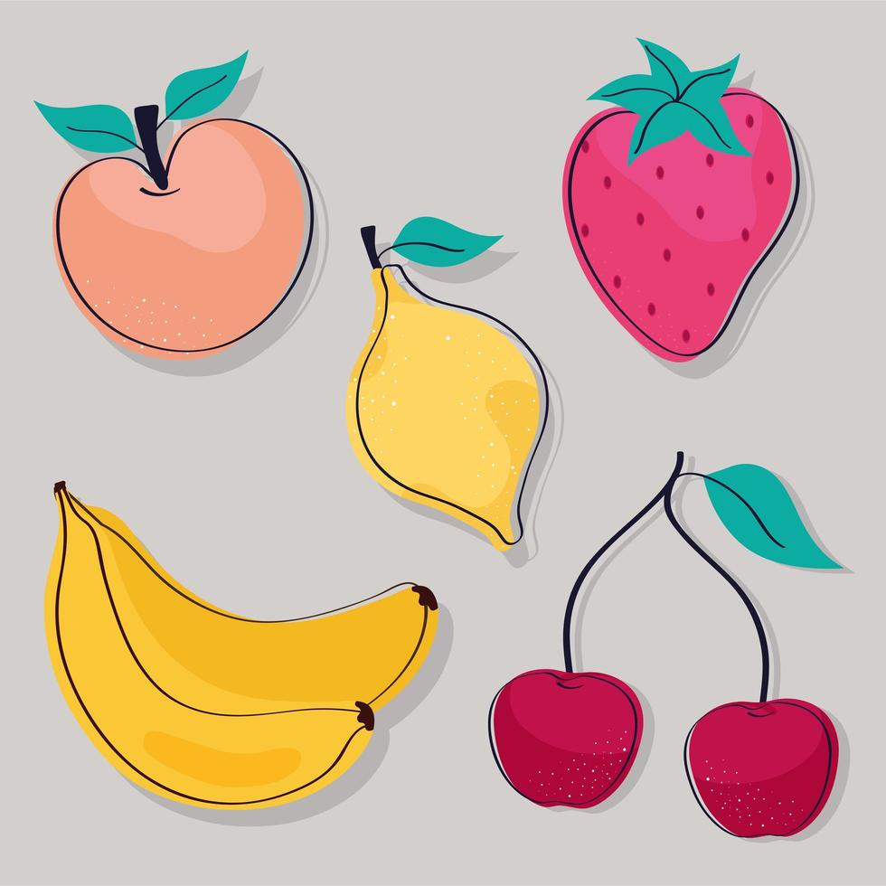 five tropical fruits vector