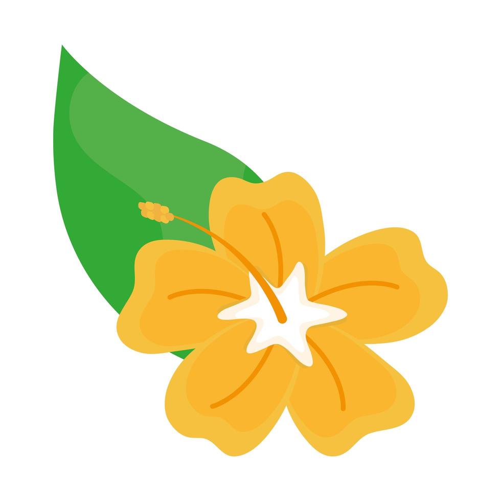 hermoso icono de flor de orquídea amarilla vector
