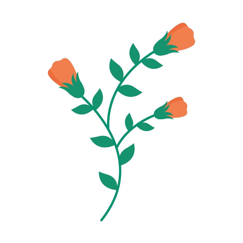 branch with flowers and leafs easter season icon vector
