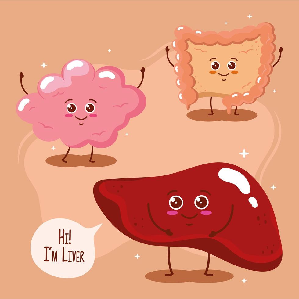 three cute organs vector