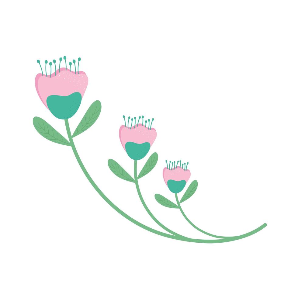 cute roses flowers garden icon vector