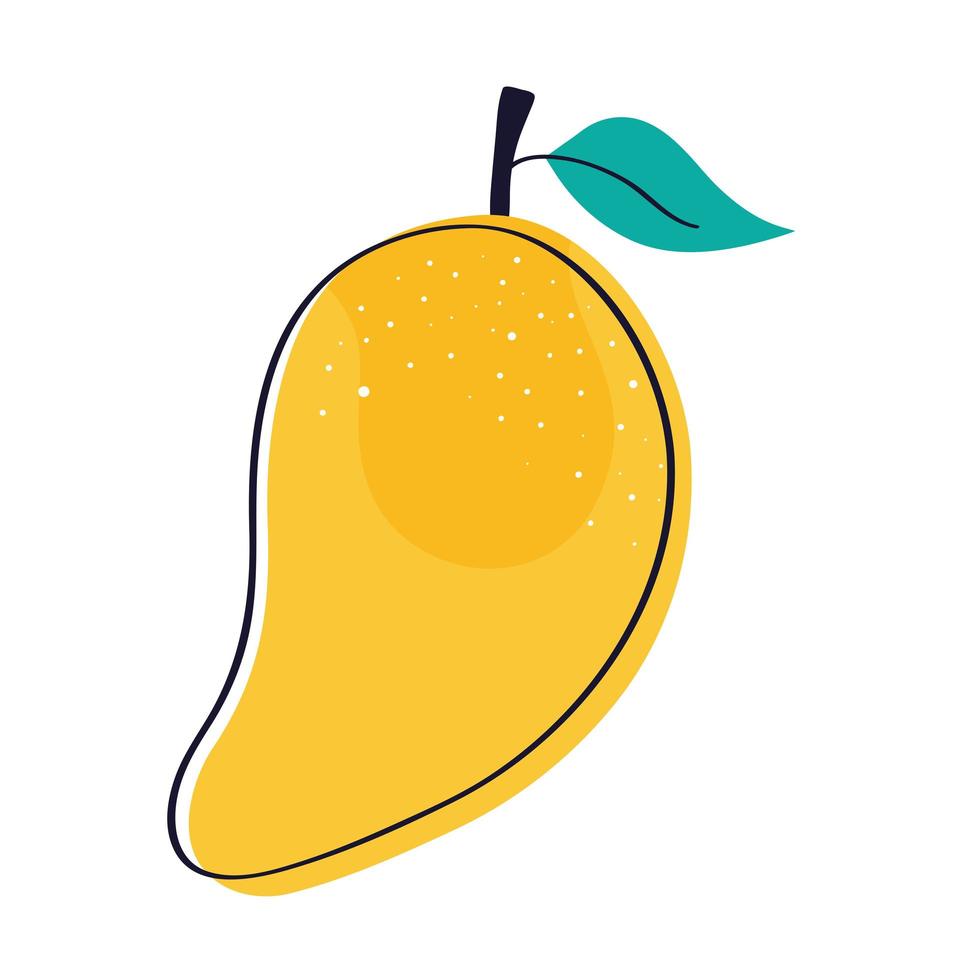 mango tropical fruit vector