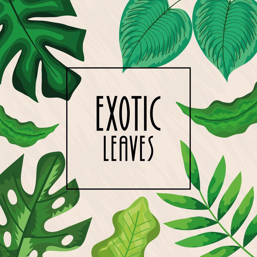 exotic leaves lettering vector