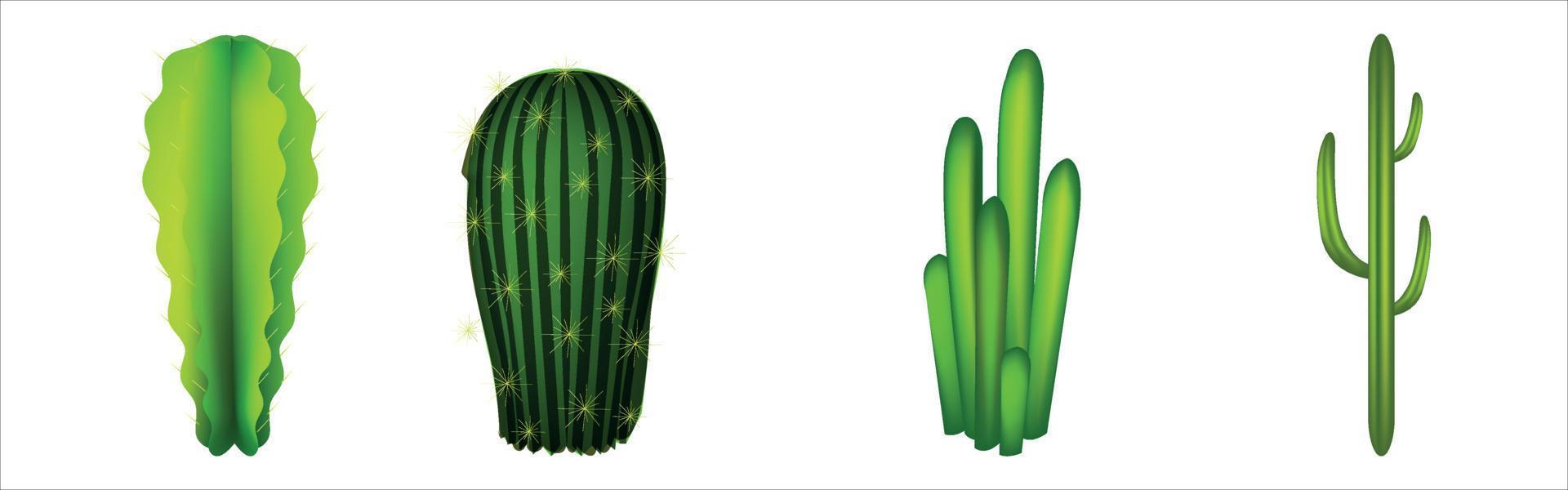 Cactus Collections Set vector