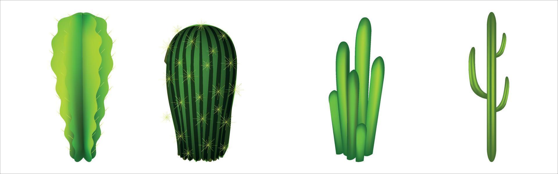 conjunto de colecciones de cactus vector