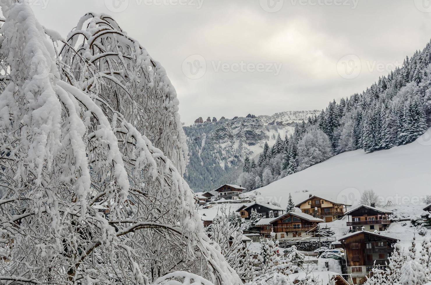 Snowy tree and Morzine vilage chalets photo