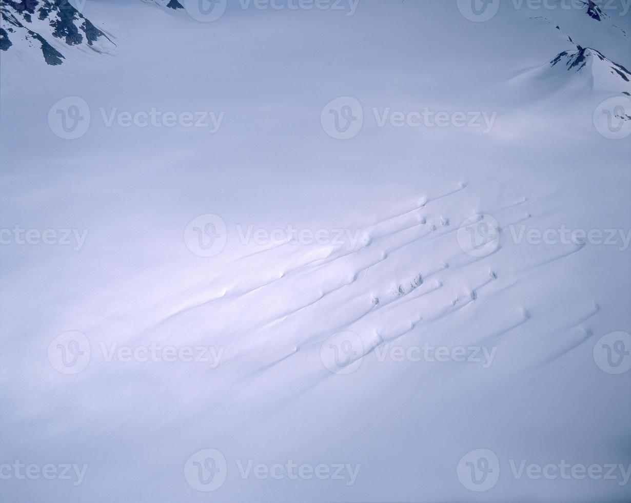 Brady Icefield, Glacier Bay photo