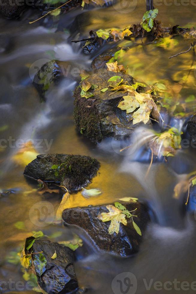 Small Creek in Autumn photo