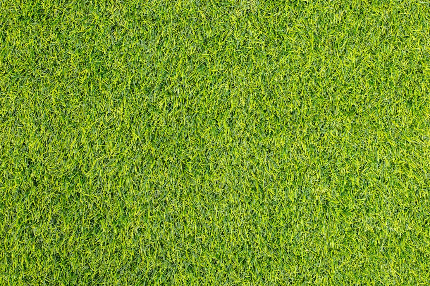 Green grass. natural background texture. fresh spring green grass. photo