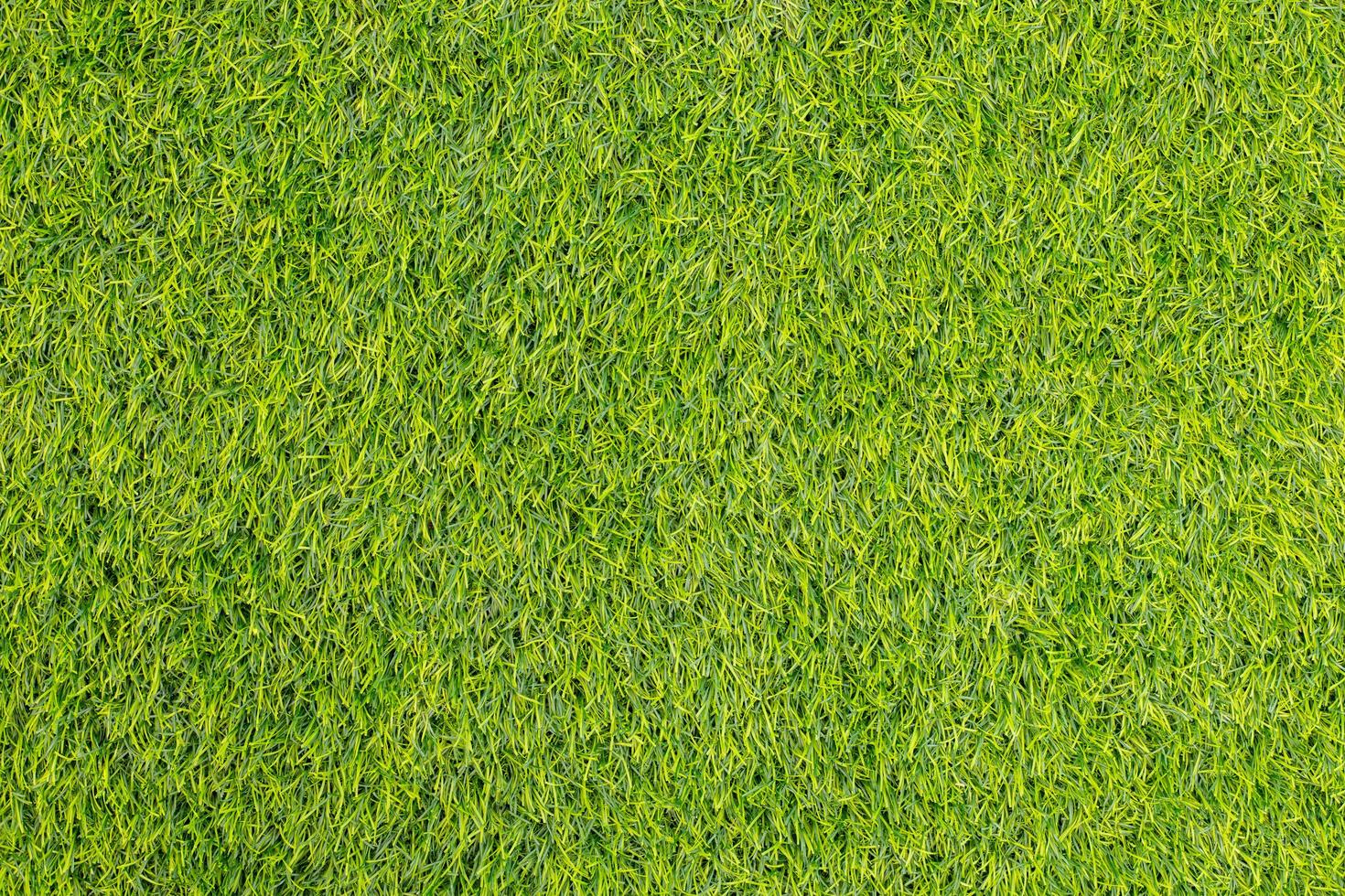 Green grass. natural background texture. fresh spring green grass. photo