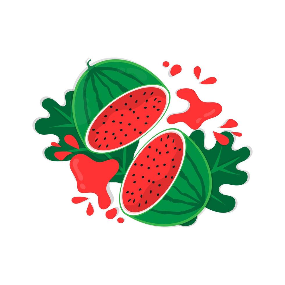 Flat watermelon half cut splash on white background. vector