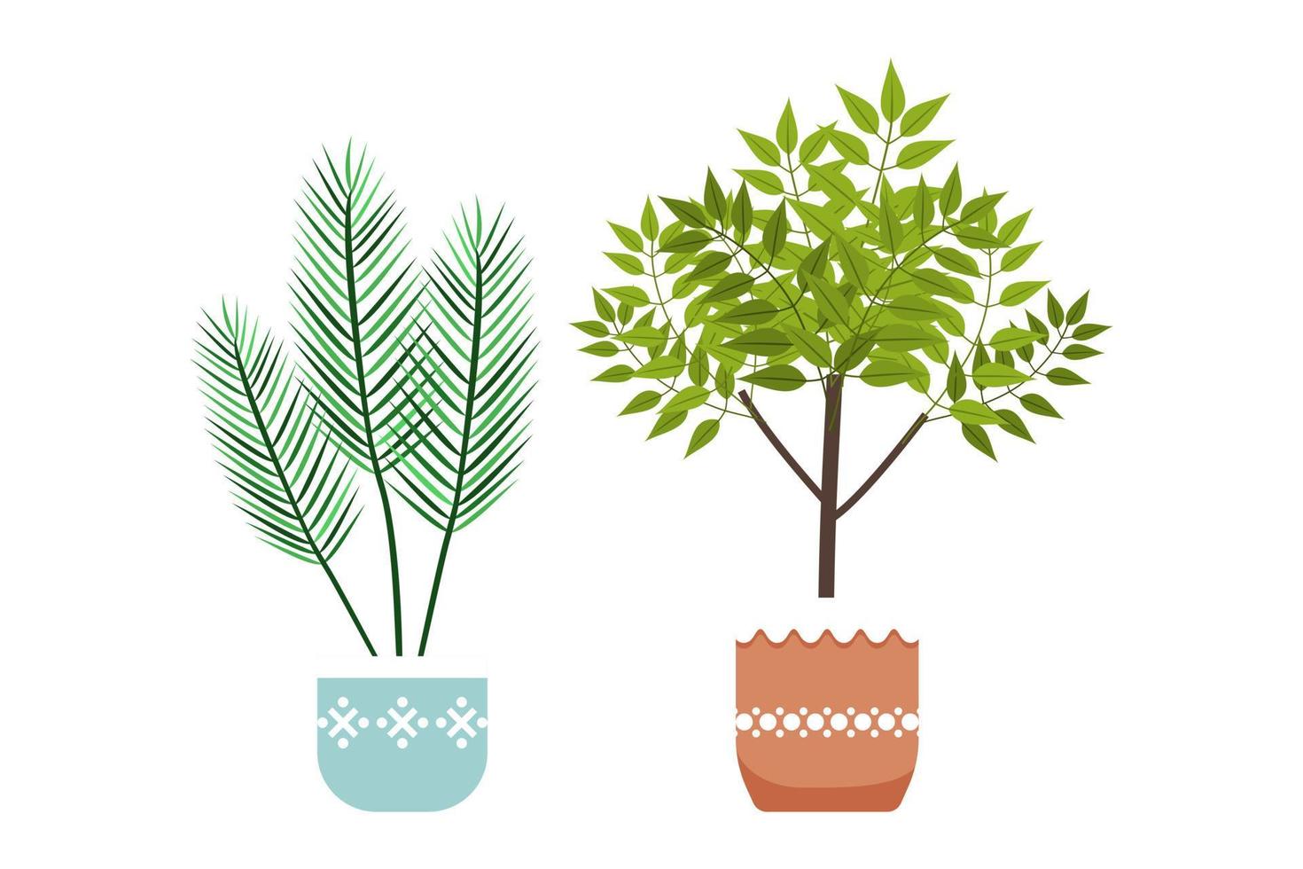 Cute beautiful home office plants set with different tree and plant isolated vector