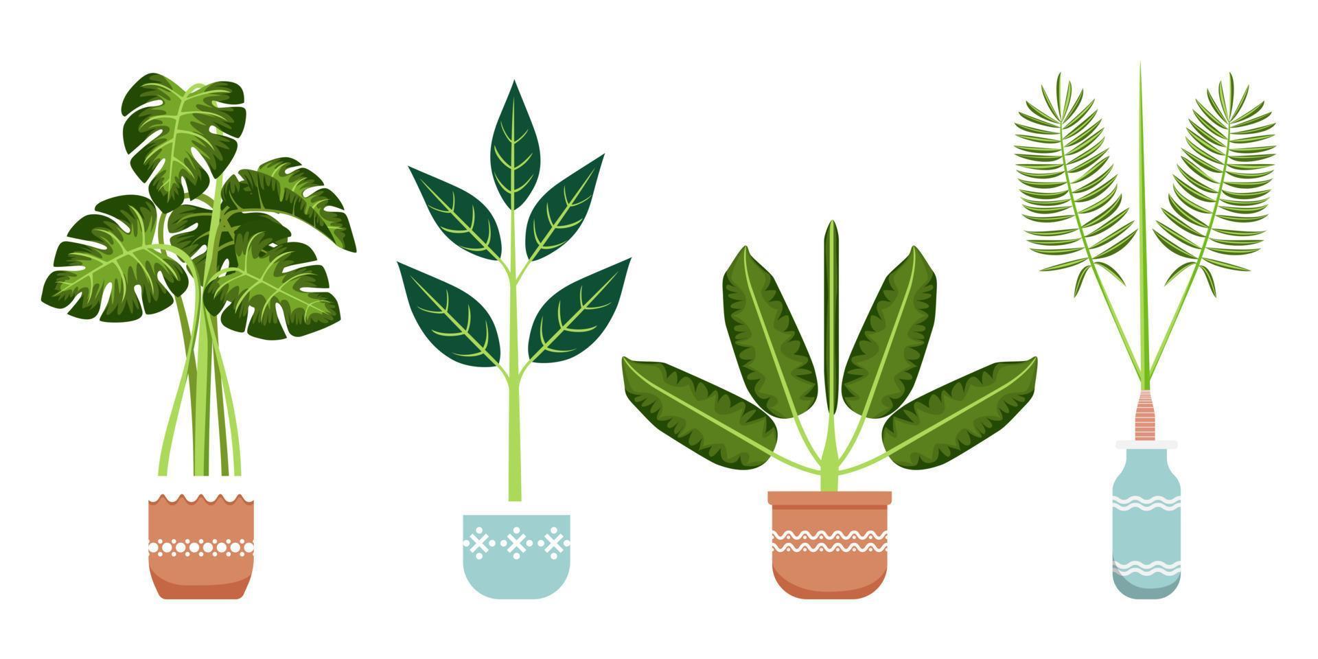 Cute beautiful home office plant set with different tree isolated vector