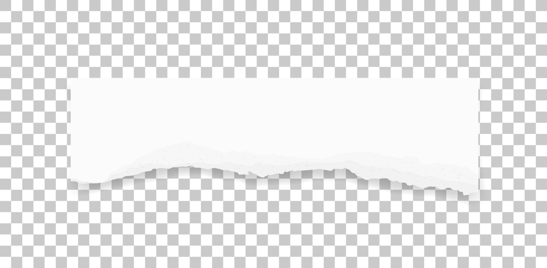 textura de papel rasgado. Fondo de bordes de papel rasgado. papel blanco para el fondo de la etiqueta de banner. vector. vector