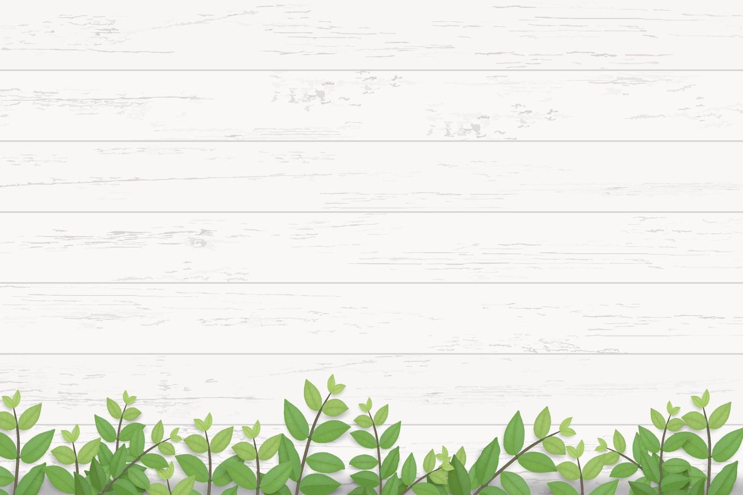 Wood plank texture background with green leaves. Vector illustration.