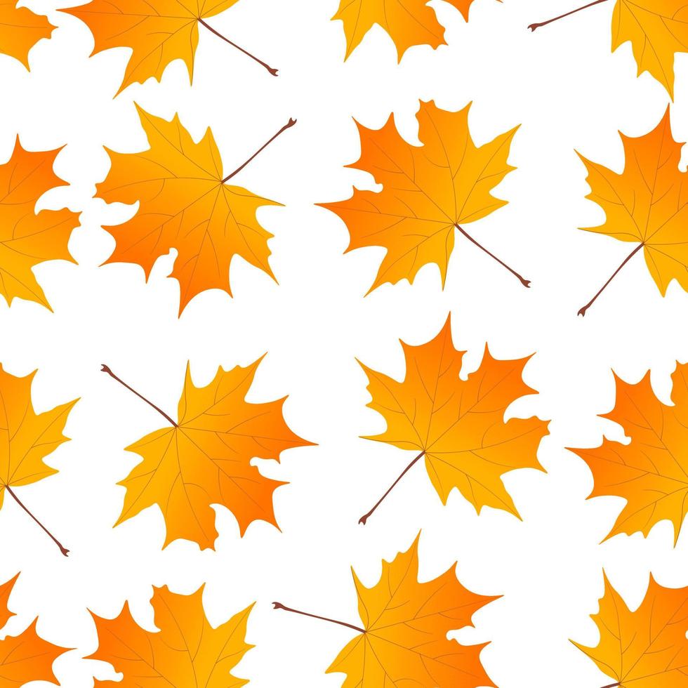 Autumn pattern yellow from maple leaves drawn in vector graphic