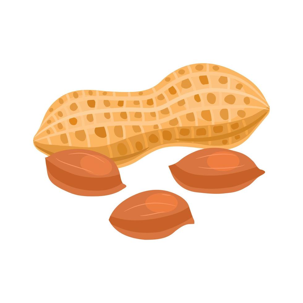 Peanut Cartoon Vector Art, Icons, and Graphics for Free Download
