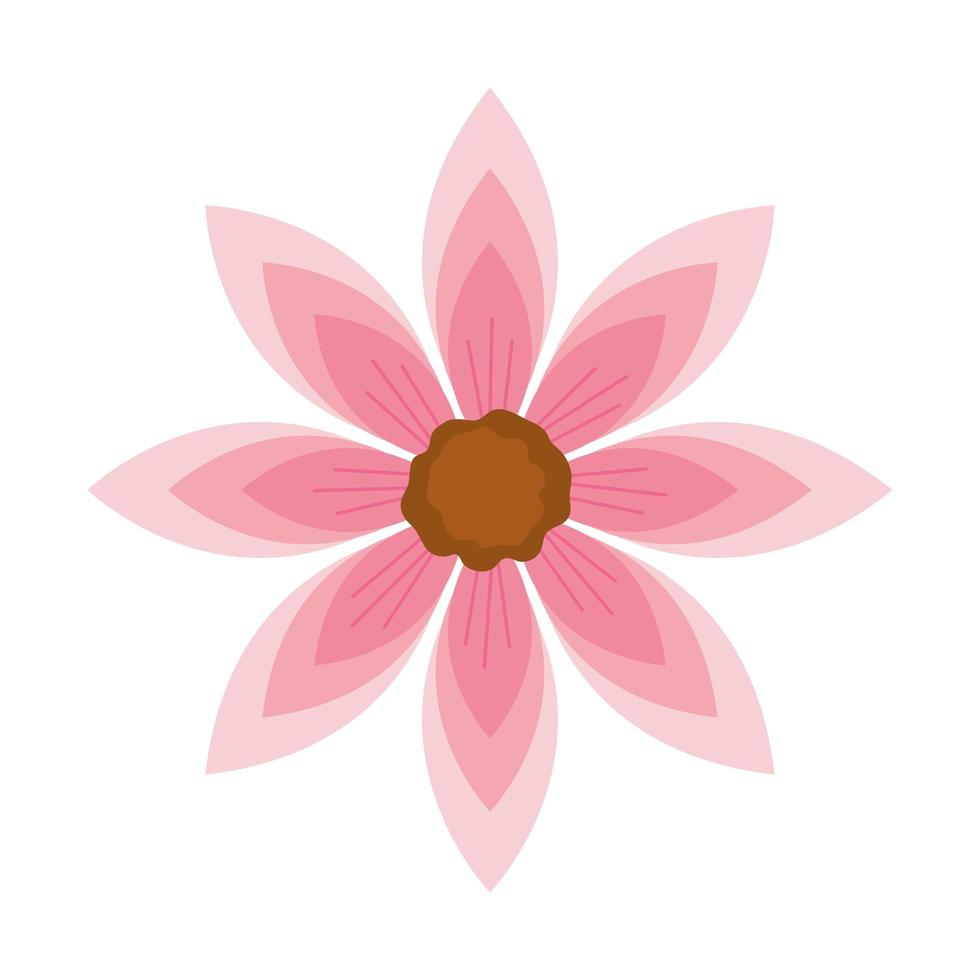 pink flower color vector