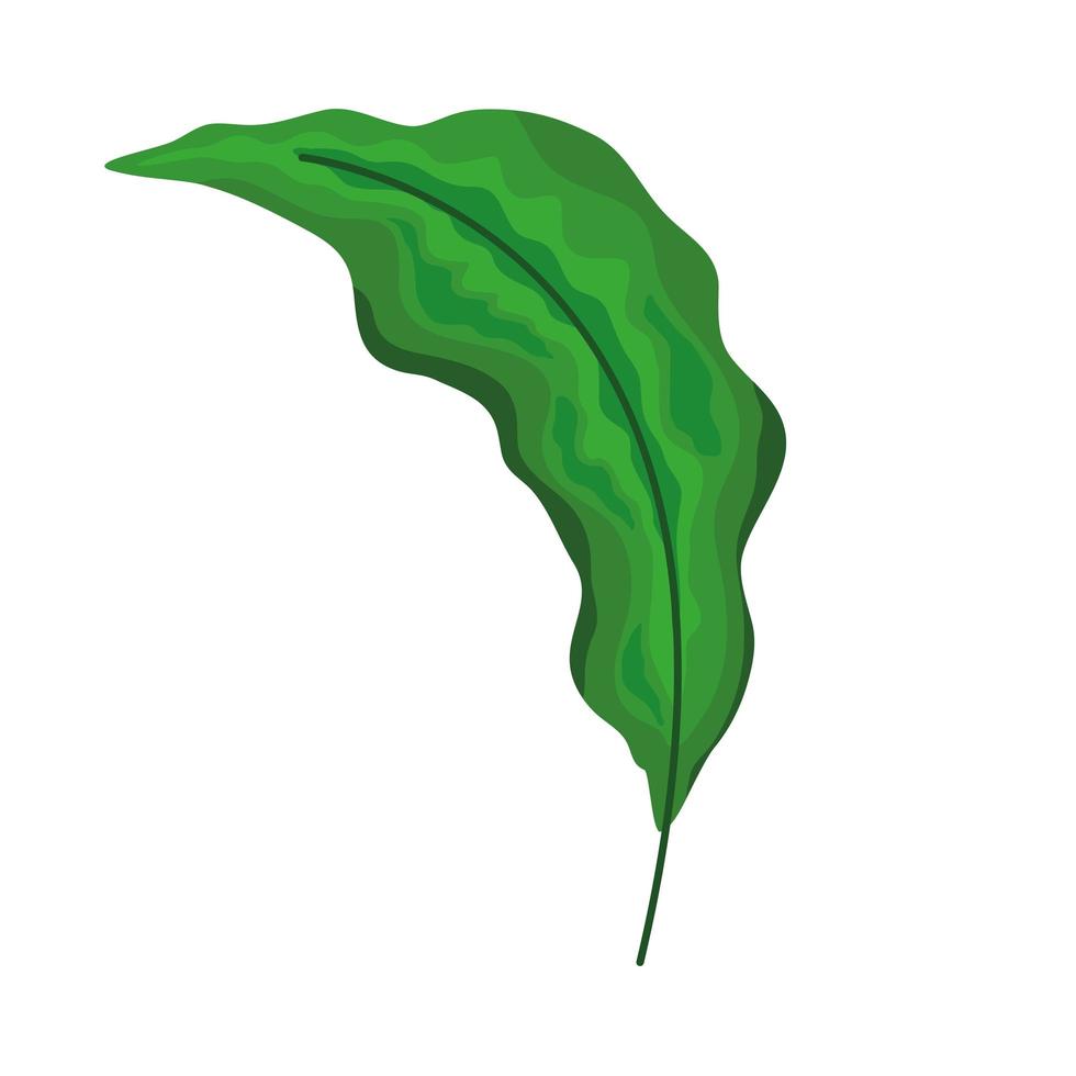 planta de hoja tropical vector