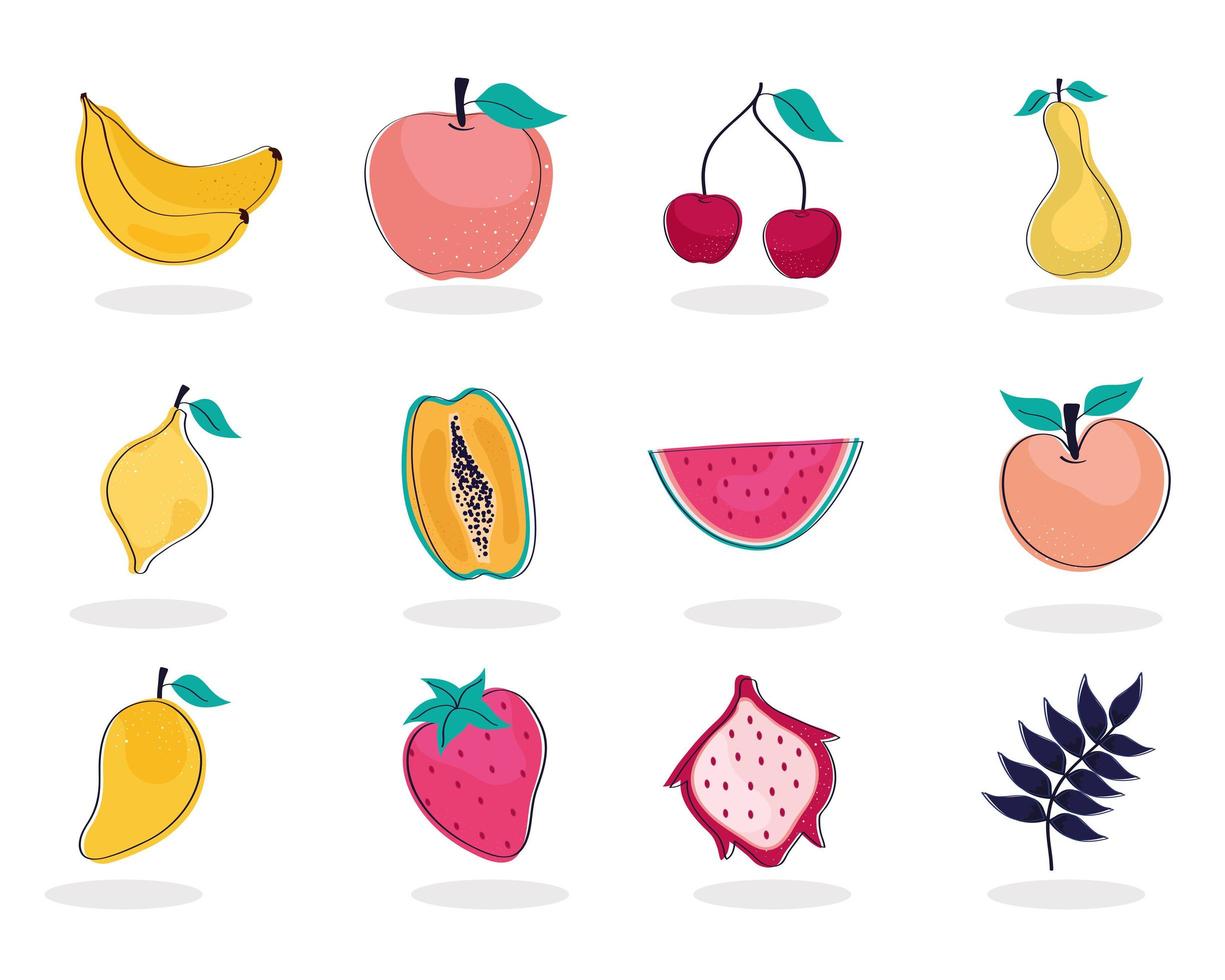 twelve tropical fruits vector