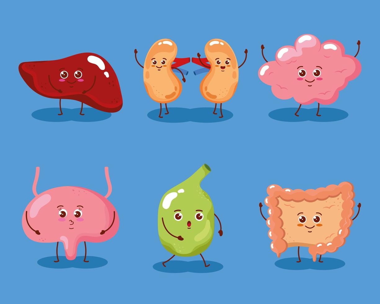 cute six organs vector