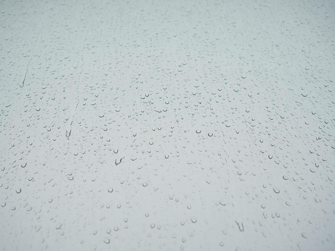 Rain drops on windows glass. photo