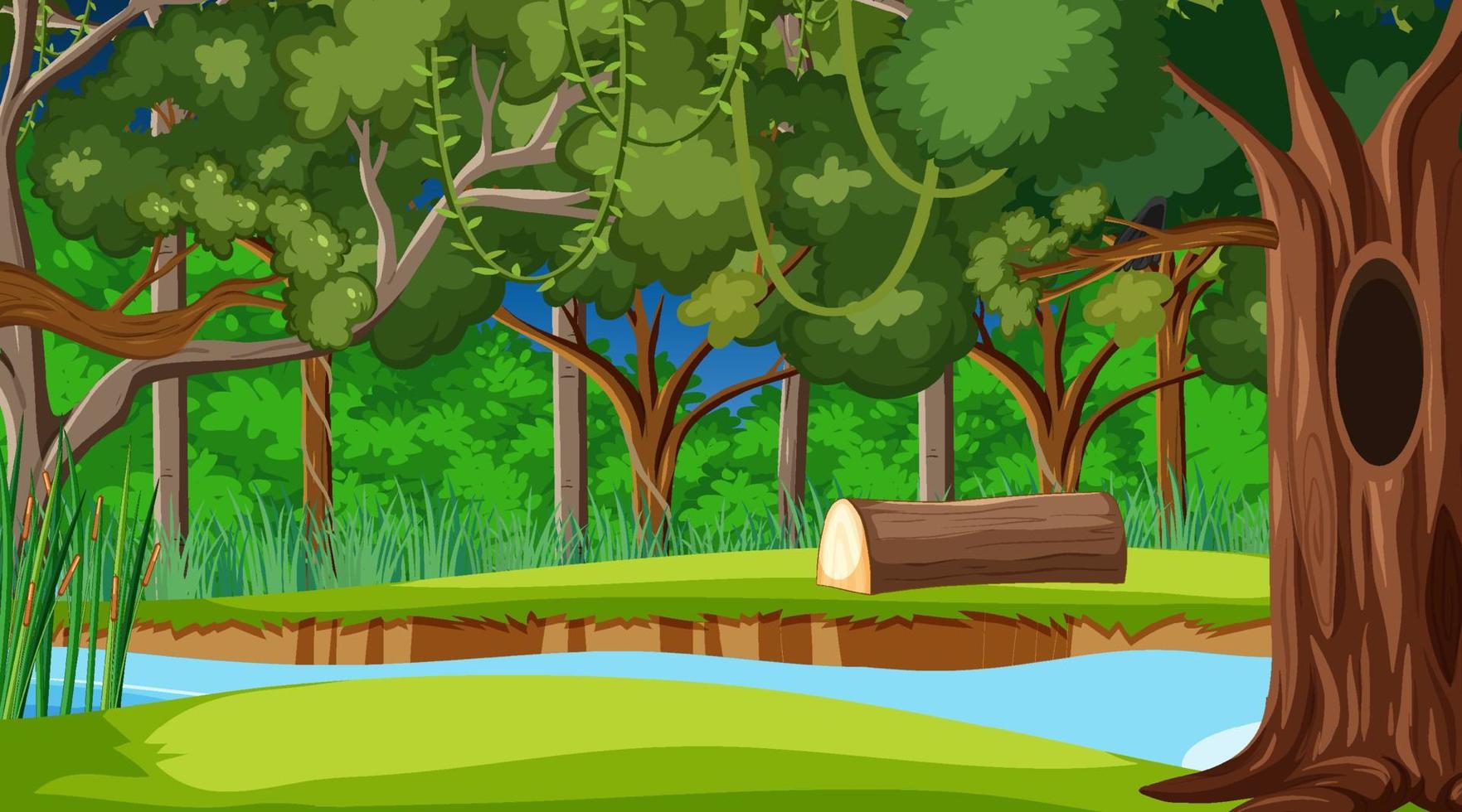 Rainforest or tropical forest at daytime scene vector