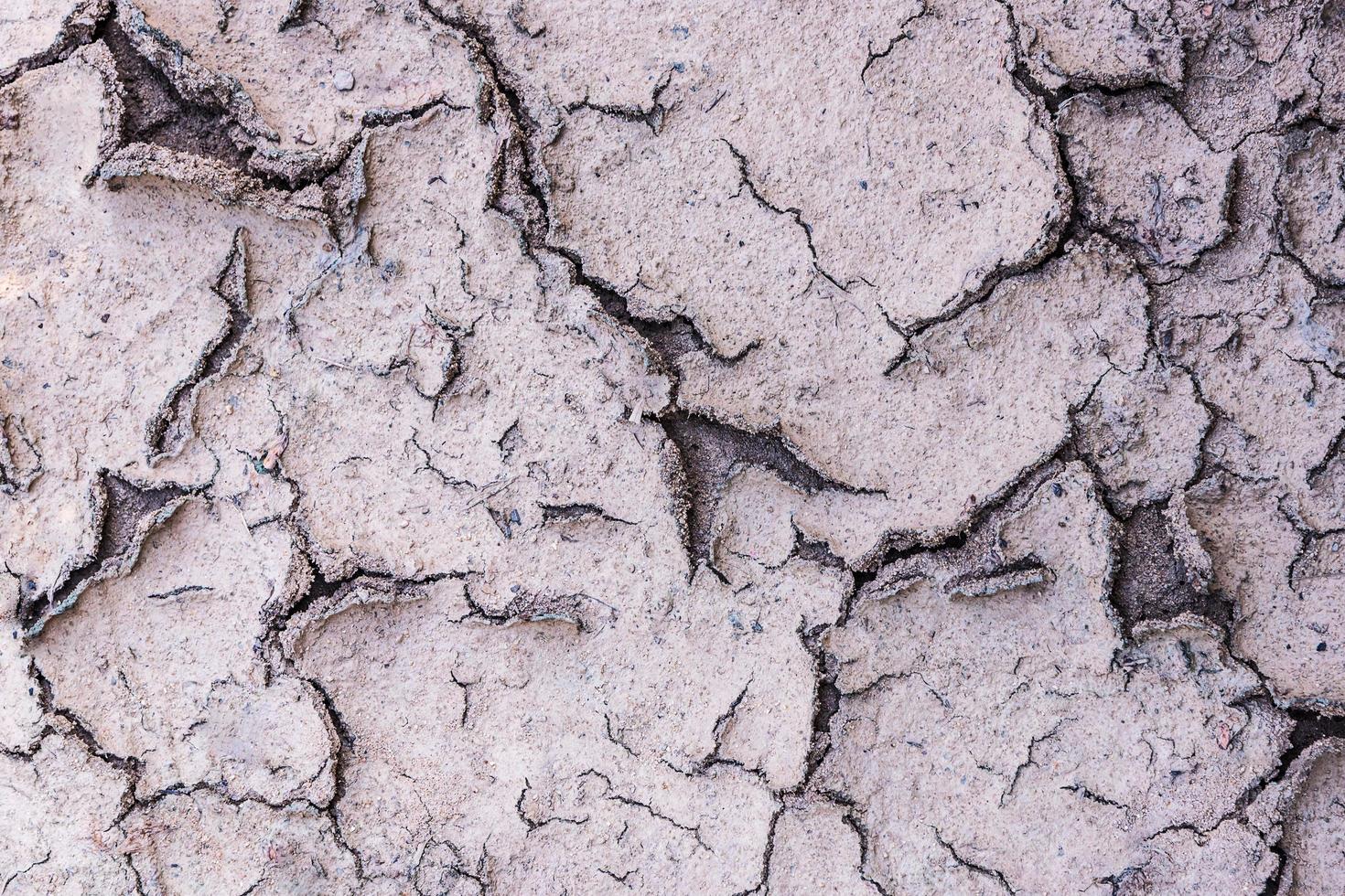 suelo agrietado para el fondo foto