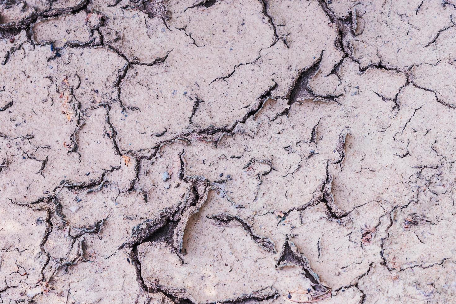 Cracked soil for background photo