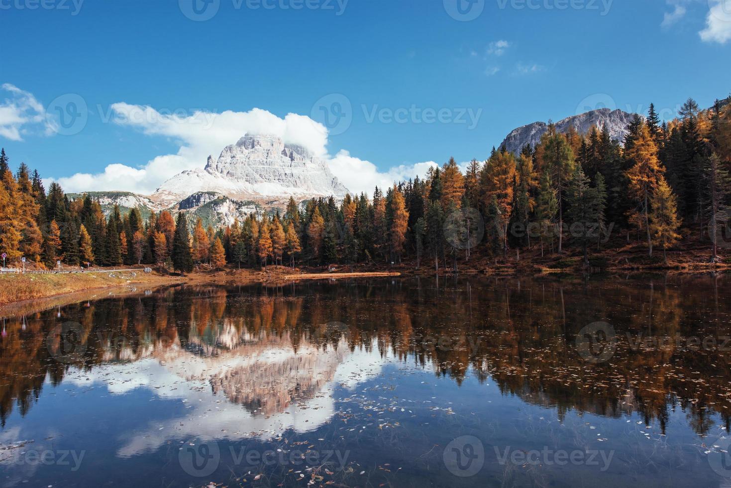 majestuosa vista. hojas en el agua. hermosas montañas en las nubes. gran paisaje. bosque cerca del lago foto