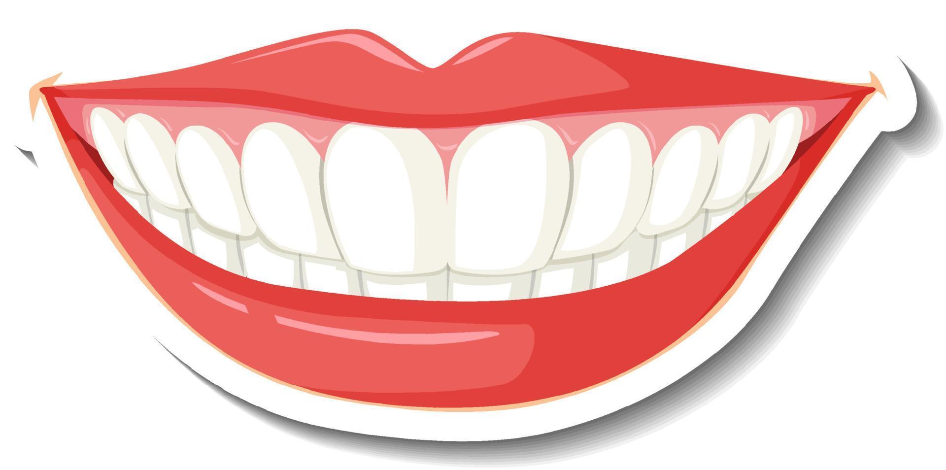 Lips with teeth on white background vector