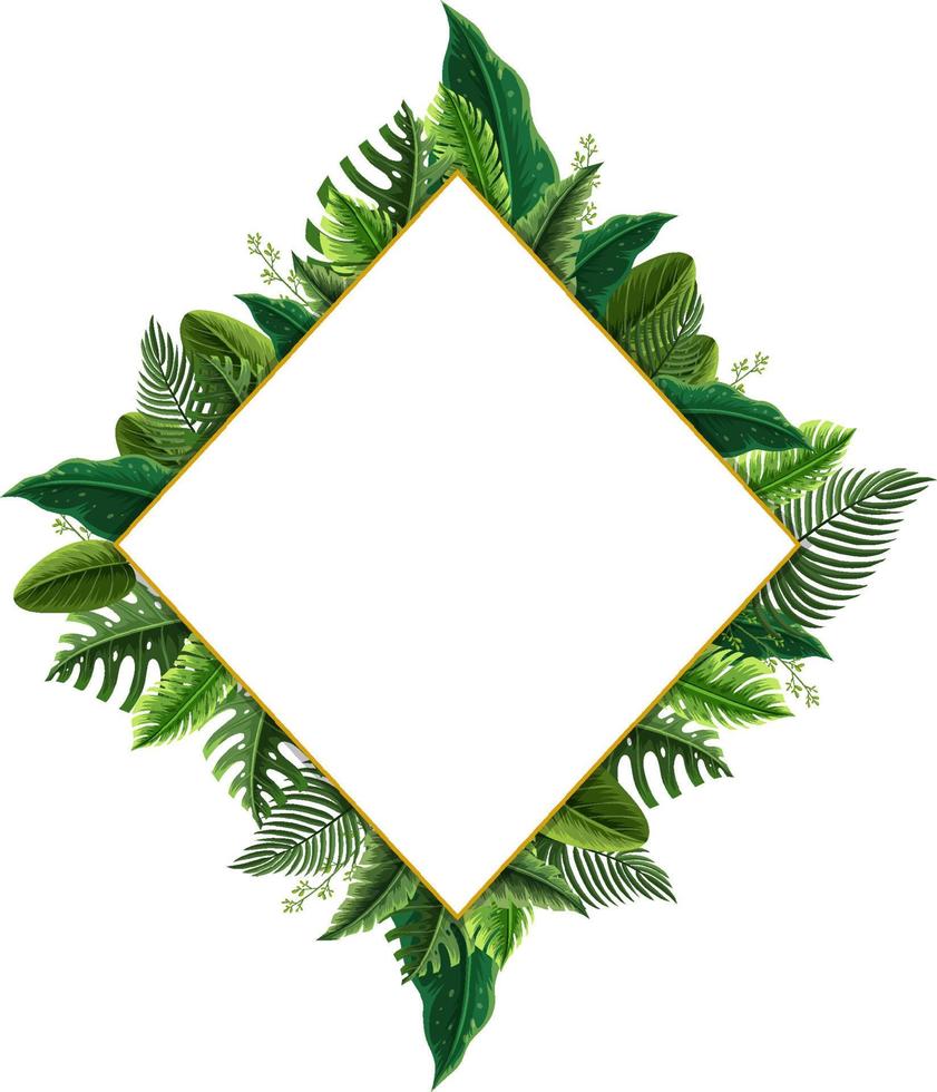 Rotated square frame with tropical green leaves vector