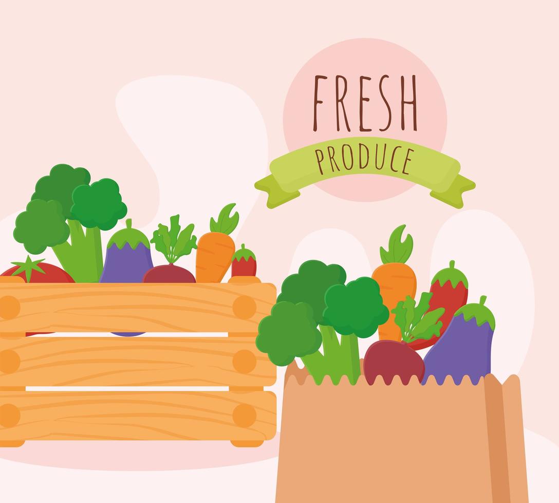fresh produce illustration vector