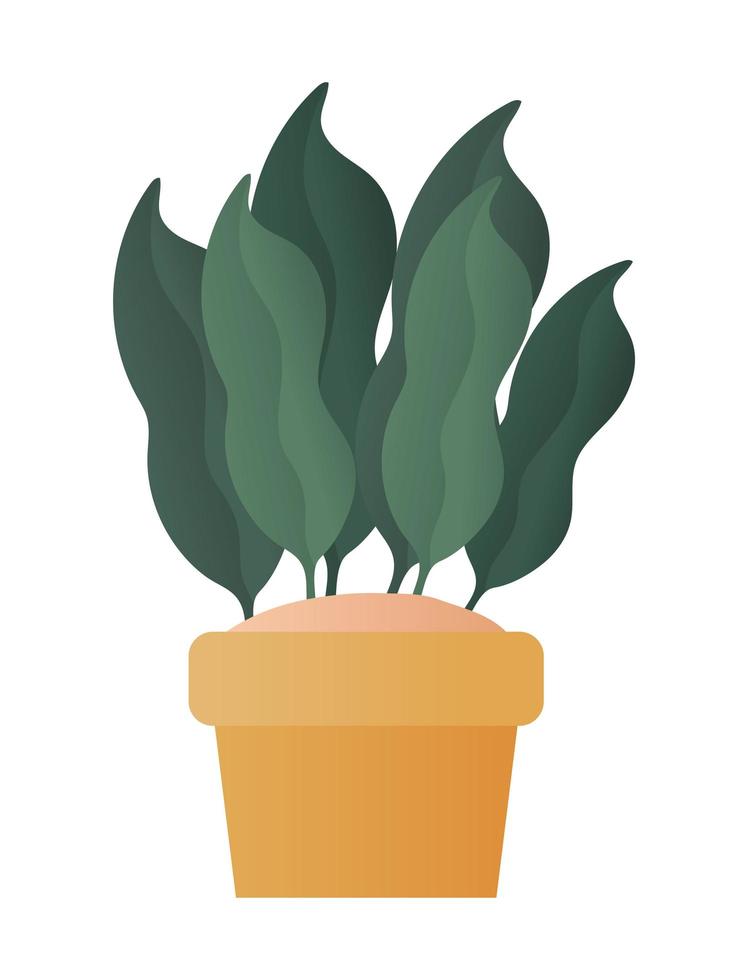 Planta aislada dentro de diseño vectorial de maceta vector