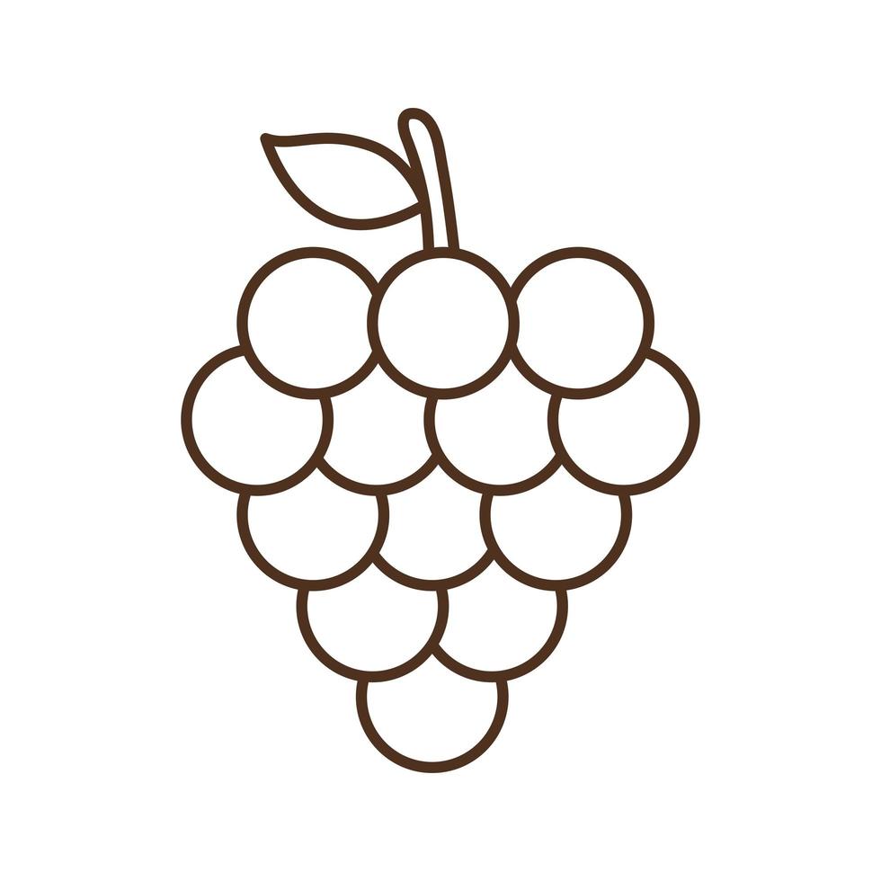 grapes line style icon vector design